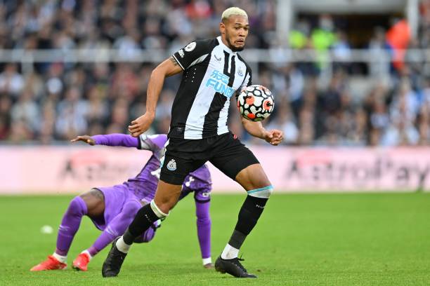 毫不犹豫地 毫不犹豫地