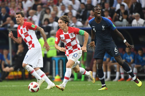 教练组应该 教练组应该